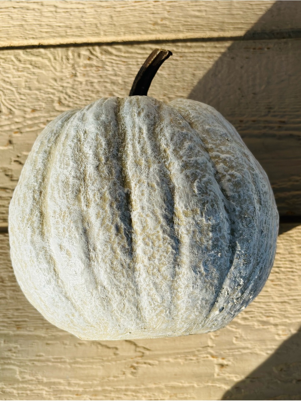 Textured  Pumpkin - Picture 3 of 5
